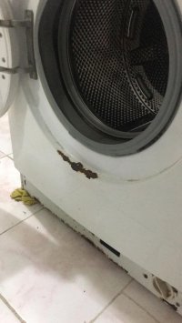 spot çamaşır makinesi